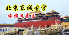 凸轮我操美女屄中国北京-东城古宫旅游风景区